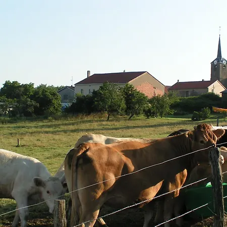 Bed & Breakfast Chambres D'hotes Au Presbytere