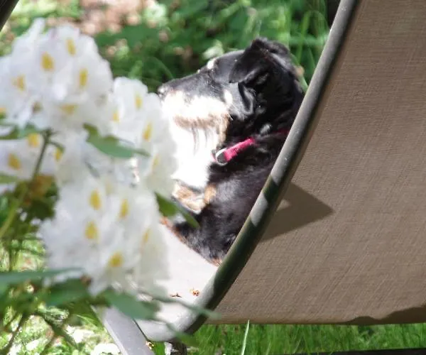 Bed & Breakfast D'hotes Au Presbytere