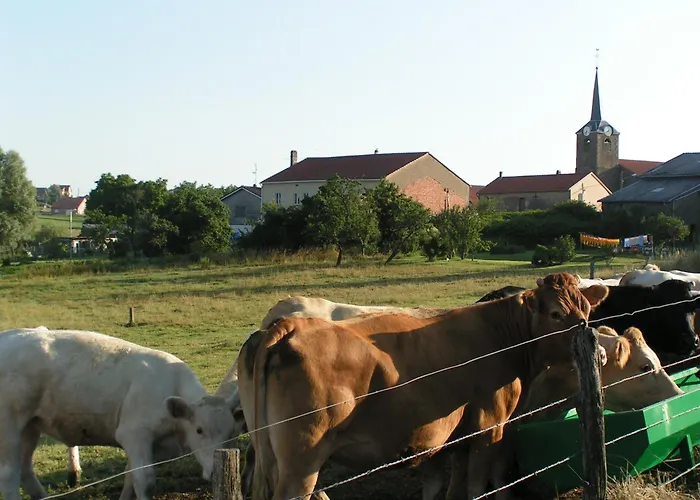 Bed & Breakfast D'hotes Au Presbytere