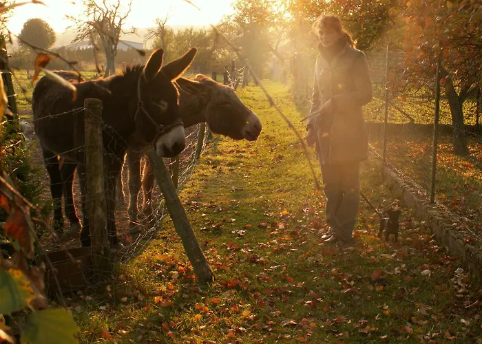 D'hotes Au Presbytere Bed & Breakfast